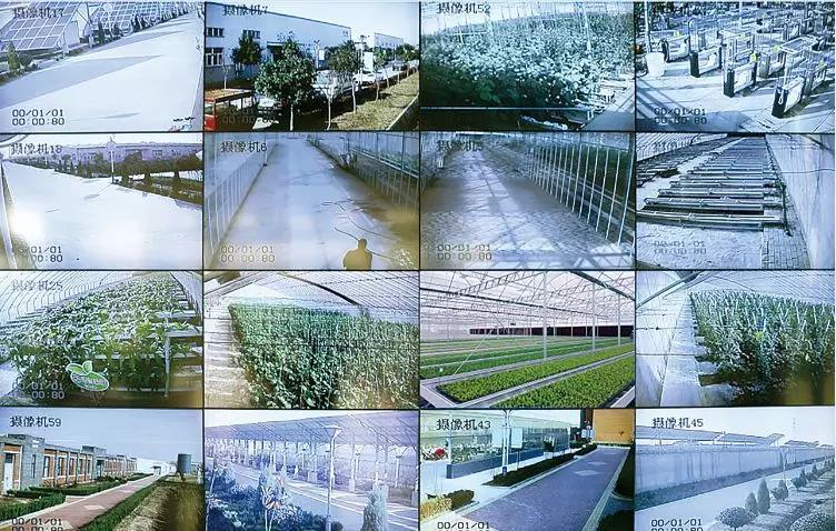 宜春建立全省首个蔬菜基地视频监控系统